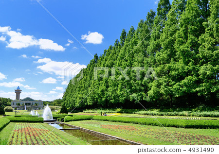 相模原公園 4931490