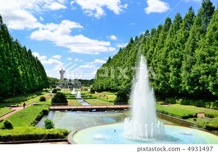 相模原公園 相模原公園 4931497