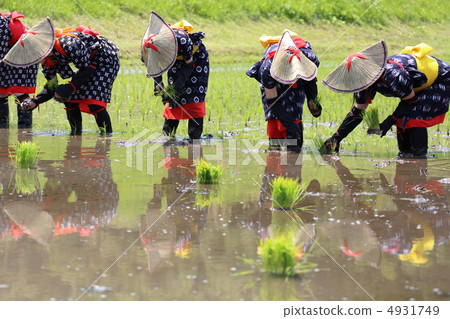 Hanada planting Hanada planting 4931749