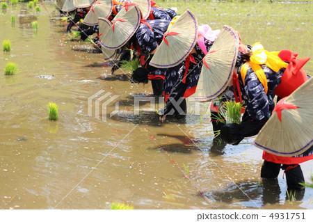 Hanada planting 4931751