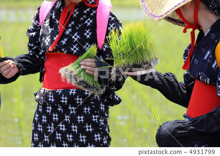 與Hanada幼苗的Saotome 4931799