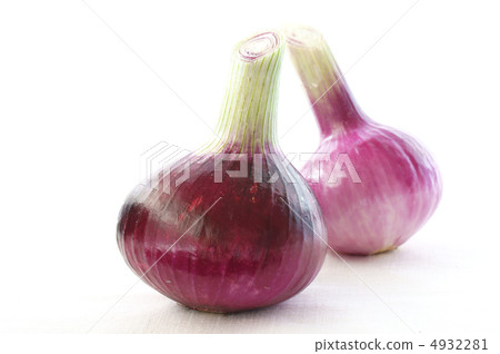 Purple onion 4932281