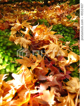 京都嵐山京都的落葉 京都嵐山京都的落葉 4932487