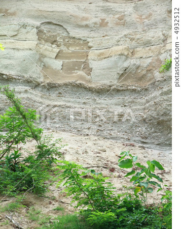 Stratum with fossil shell 4932512