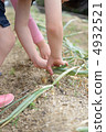 Onion harvest 4932521