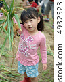Onion harvest 4932523