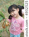 Onion harvest 4932525