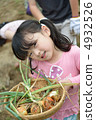 Onion harvest 4932526