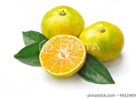 Mandarin orange  4932969