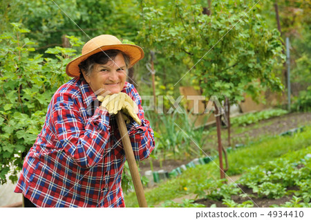 Senior woman gardening Senior woman gardening 4934410