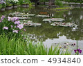 虹膜和睡蓮蓮花 4934840