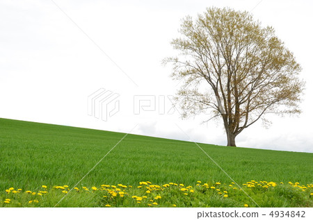landscape, scape, scene 4934842