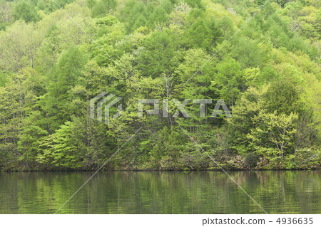 Early summer lake Early summer lake 4936635