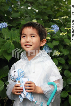 Rainy season rainy season rain (boys child elementary school student hydrangea hydrangear bowbo) 4936683