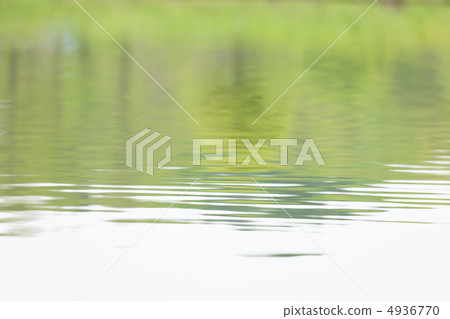 The surface of the fresh green 4936770