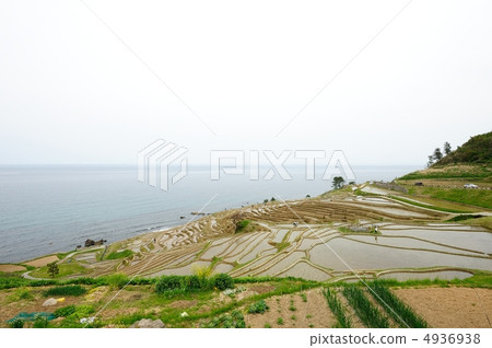 水稻梯田 水稻梯田 4936938