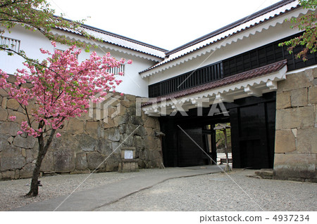 Yaezakura和Tsuruga城堡鐵門 Yaezakura和Tsuruga城堡鐵門 4937234