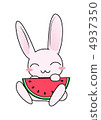 Rabbit and watermelon 4937350