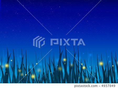 螢火蟲 螢火蟲 4937849