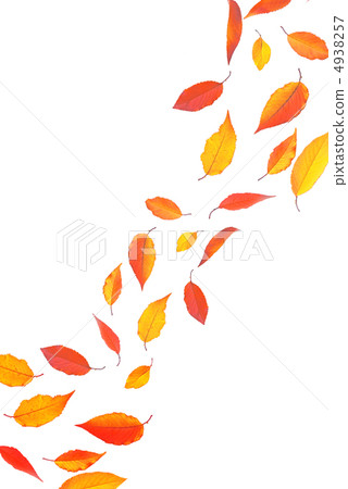 Cherry Blossoms in Autumn 4938257