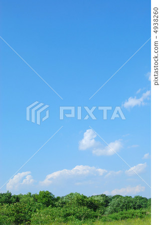 Summer image 4938260