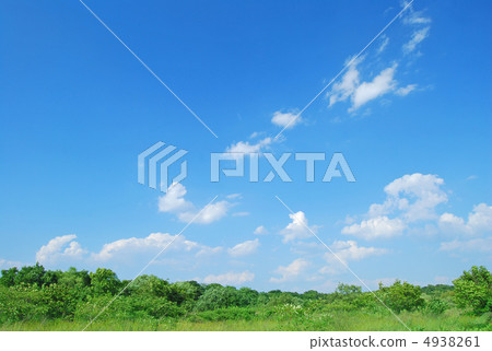 Summer image 4938261