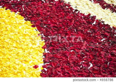 玫瑰花瓣 4938786