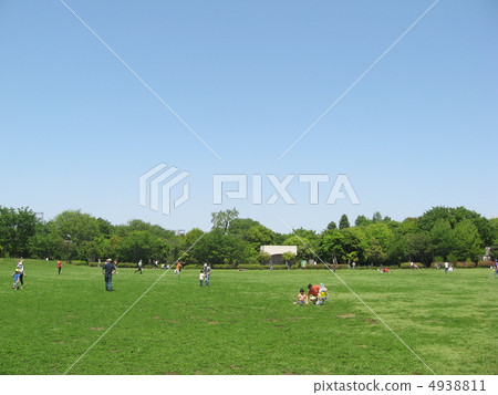 Wide lawn in the park 4938811