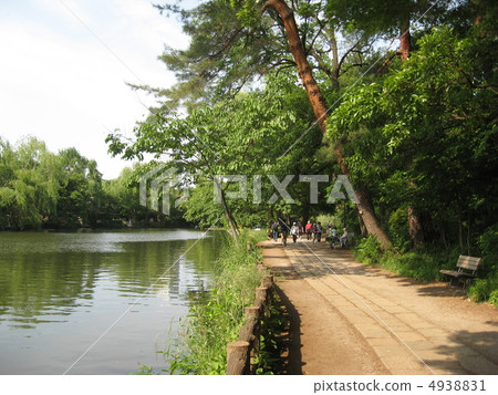 Shakujii Park 4938831