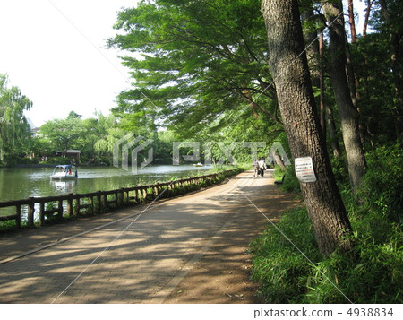 Shakujii公園 4938834