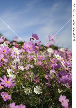 宇宙和藍天 宇宙和藍天 4939127