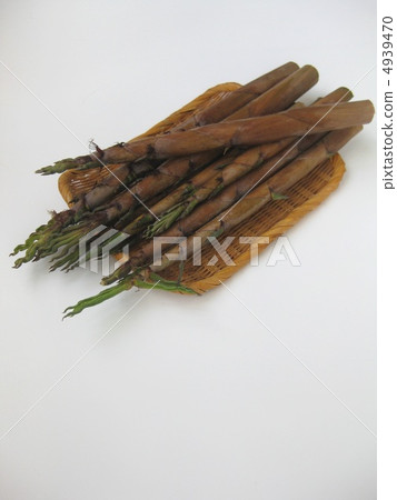 勢如破竹 勢如破竹 4939470