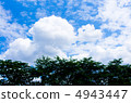 Summer cloud and green 4943447