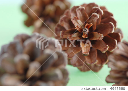 Pinecone Pinecone 4943660