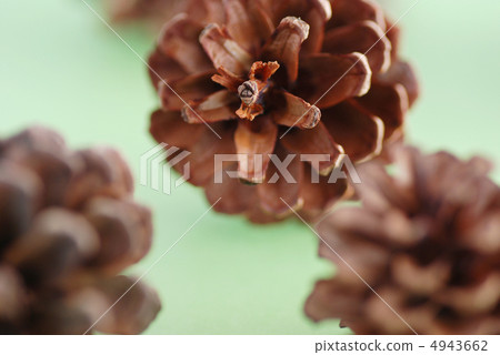 Pinecone 4943662