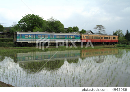 久留米線Kiha 30 久留米線Kiha 30 4943986