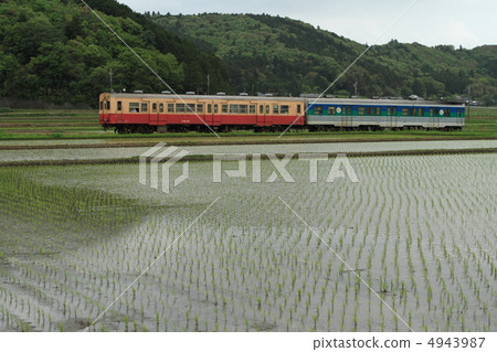 久留米線Kiha 30 久留米線Kiha 30 4943987