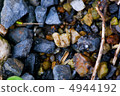 Gravel of rain 4944192