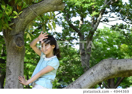 樹的一個女孩 4944369