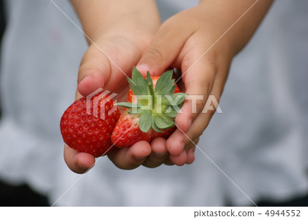 草莓 草莓 4944552