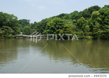 Yakushi-ike Park Machida-shi 4945070