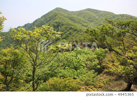 佛陀的佛 4945365