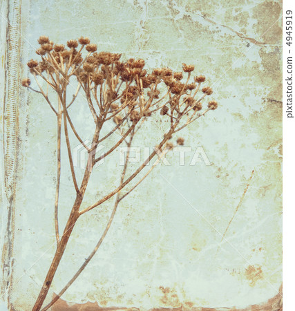 Vintage flower on old book background 4945919