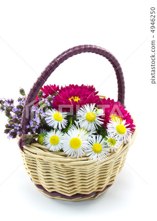 花籃 4946250