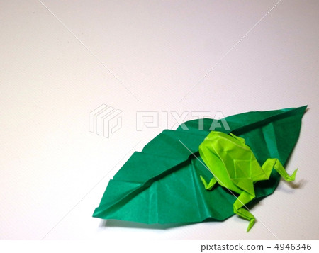 摺紙青蛙 摺紙青蛙 4946346