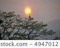 在日落和鳥的日落 在日落和鳥的日落 4947012