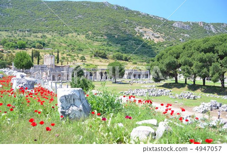 Ephesus ruins where Amapola blooms, Agora (Plaza) and Kelsus Library Ephesus ruins where Amapola blooms, Agora (Plaza) and Kelsus Library 4947057