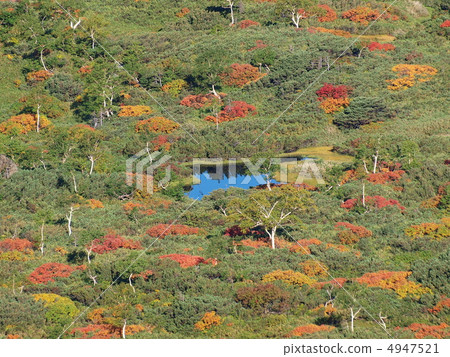 旭岳 旭岳 4947521