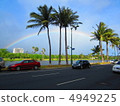 rainbow, palm tree, palm-tree 4949225