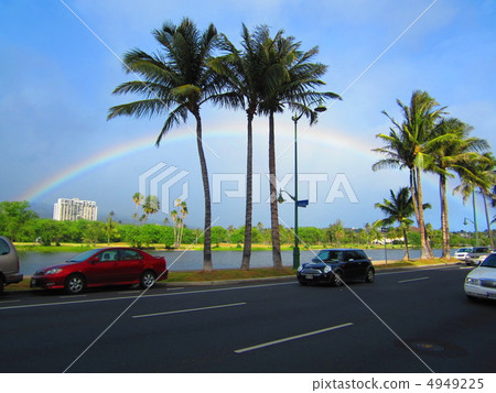 rainbow, palm tree, palm-tree 4949225